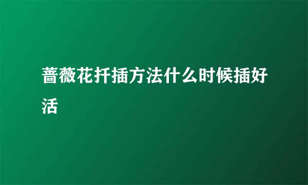 蔷薇花扦插方法什么时候插好活