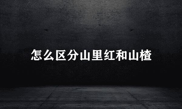 怎么区分山里红和山楂