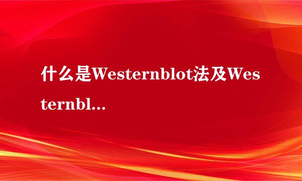 什么是Westernblot法及Westernblot法应用