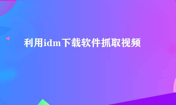 利用idm下载软件抓取视频