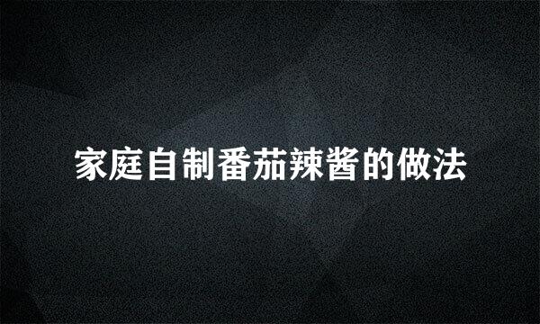家庭自制番茄辣酱的做法