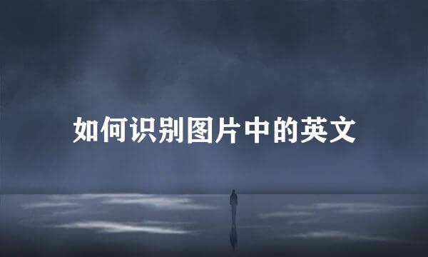 如何识别图片中的英文