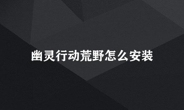 幽灵行动荒野怎么安装