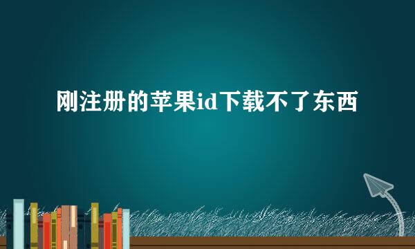 刚注册的苹果id下载不了东西