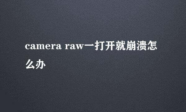 camera raw一打开就崩溃怎么办