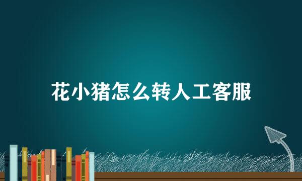 花小猪怎么转人工客服