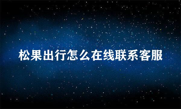 松果出行怎么在线联系客服