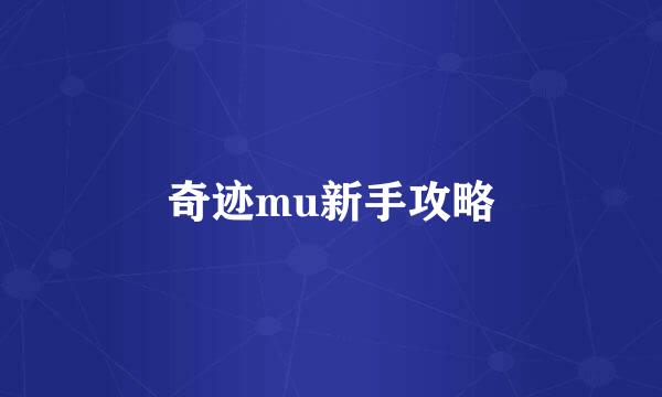 奇迹mu新手攻略