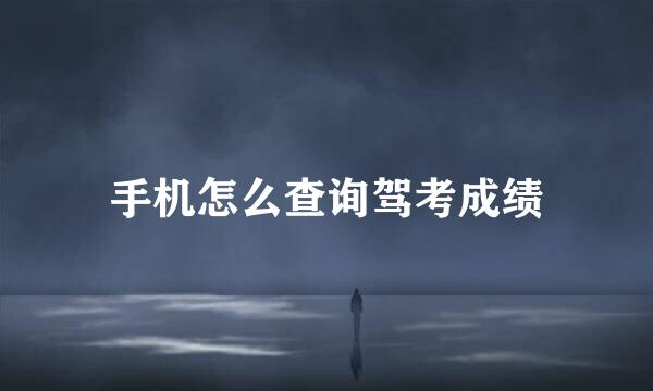 手机怎么查询驾考成绩