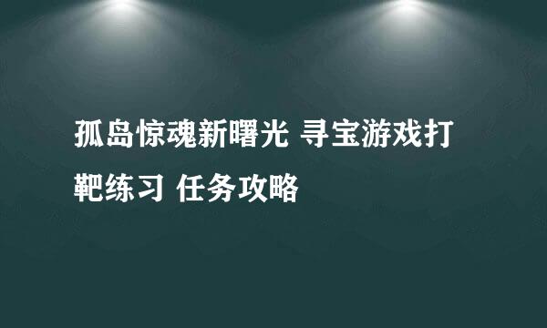 孤岛惊魂新曙光 寻宝游戏打靶练习 任务攻略