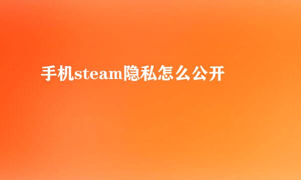 手机steam隐私怎么公开