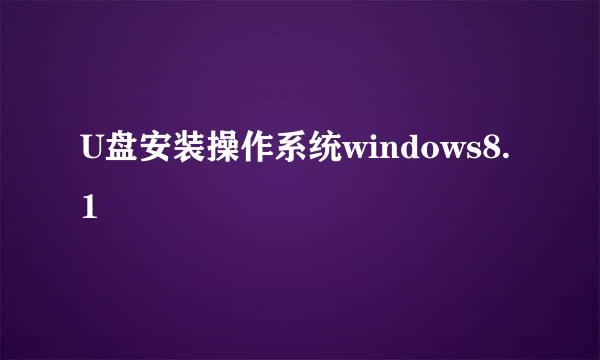 U盘安装操作系统windows8.1