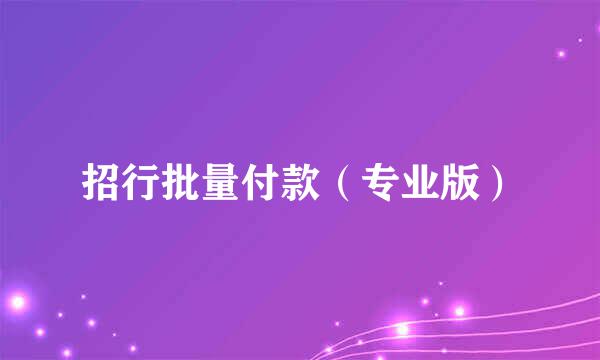 招行批量付款（专业版）