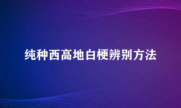纯种西高地白梗辨别方法