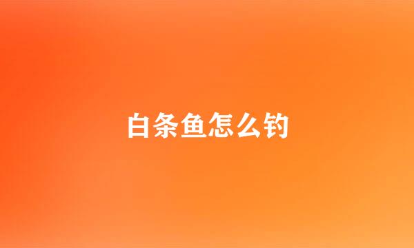 白条鱼怎么钓
