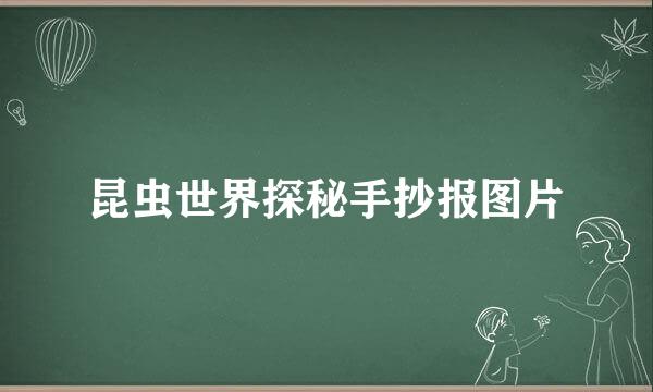 昆虫世界探秘手抄报图片