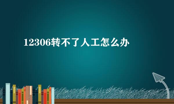 12306转不了人工怎么办