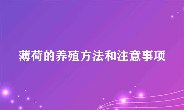薄荷的养殖方法和注意事项