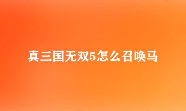 真三国无双5怎么召唤马