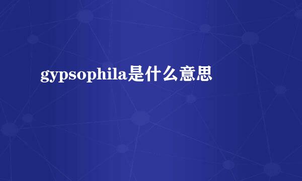 gypsophila是什么意思