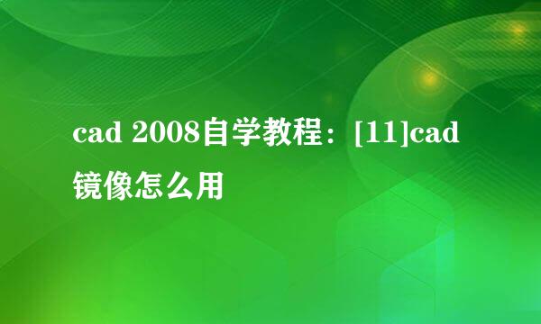 cad 2008自学教程：[11]cad镜像怎么用