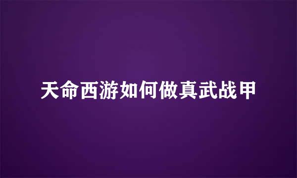 天命西游如何做真武战甲