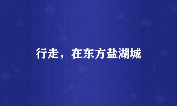 行走，在东方盐湖城