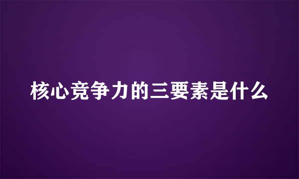 核心竞争力的三要素是什么