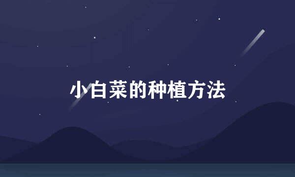 小白菜的种植方法