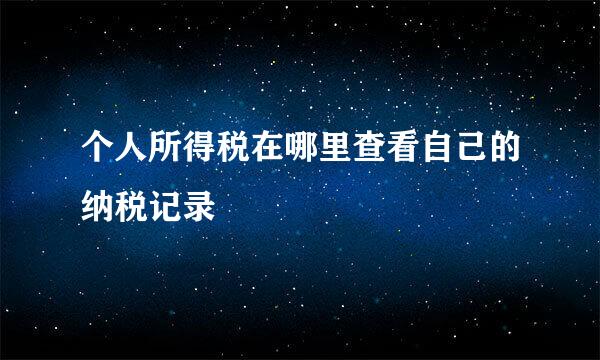 个人所得税在哪里查看自己的纳税记录