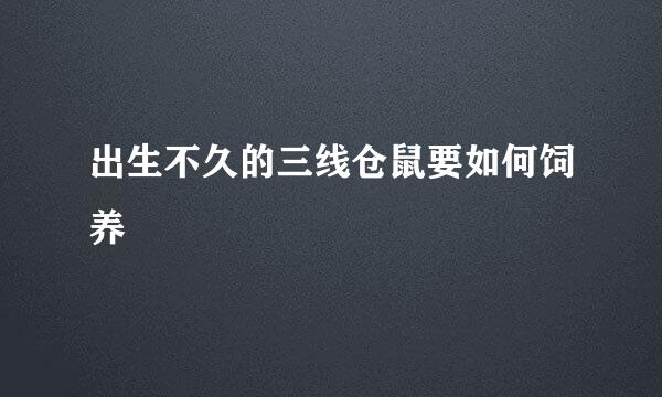出生不久的三线仓鼠要如何饲养
