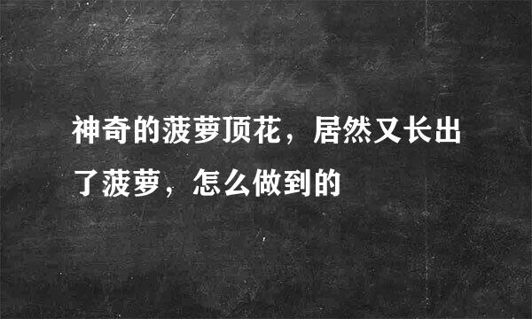 神奇的菠萝顶花，居然又长出了菠萝，怎么做到的