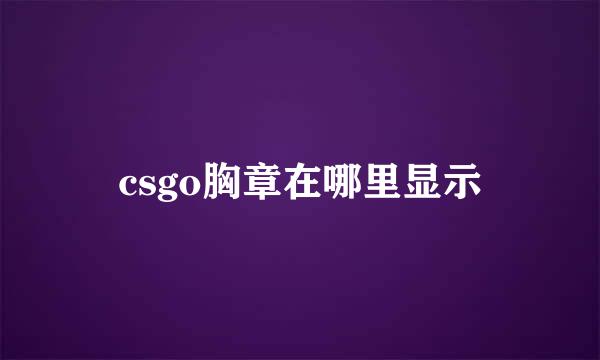 csgo胸章在哪里显示