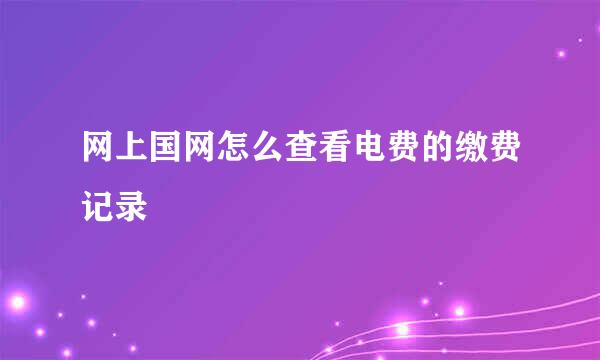 网上国网怎么查看电费的缴费记录