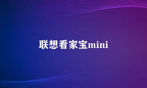 联想看家宝mini