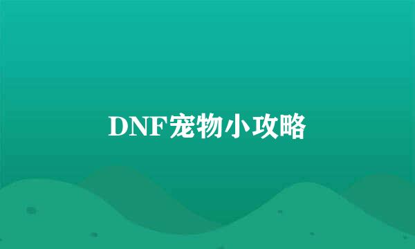 DNF宠物小攻略