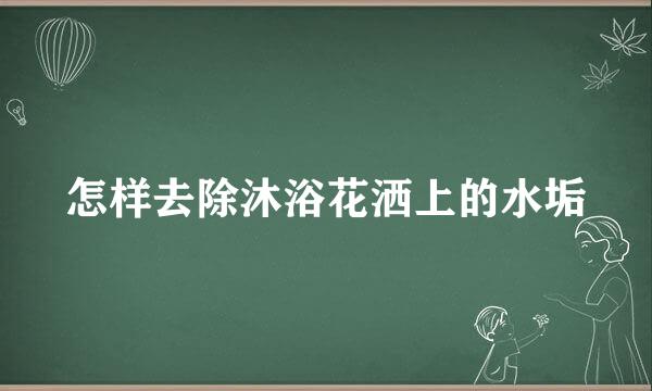 怎样去除沐浴花洒上的水垢