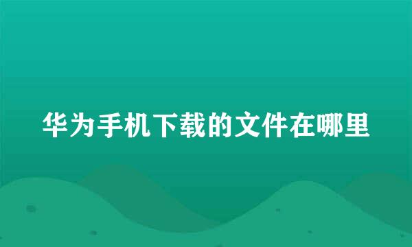 华为手机下载的文件在哪里