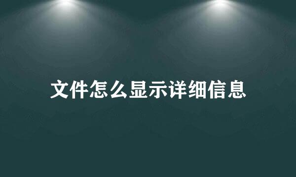 文件怎么显示详细信息