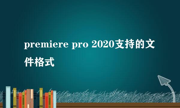 premiere pro 2020支持的文件格式
