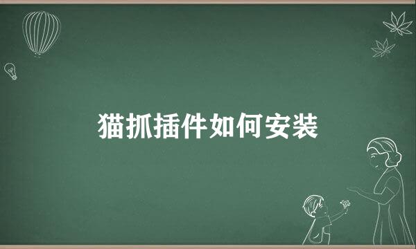 猫抓插件如何安装