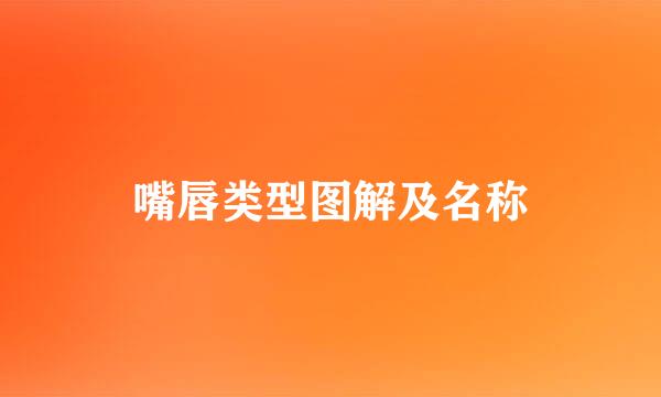 嘴唇类型图解及名称