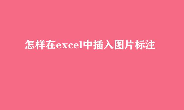 怎样在excel中插入图片标注