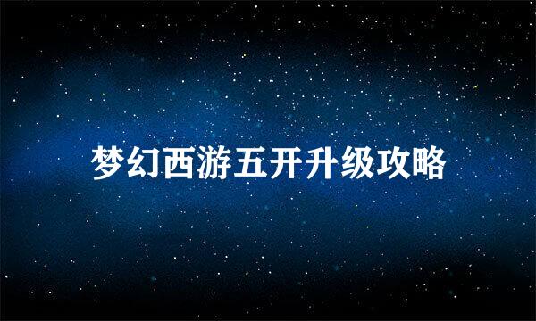 梦幻西游五开升级攻略