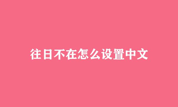 往日不在怎么设置中文