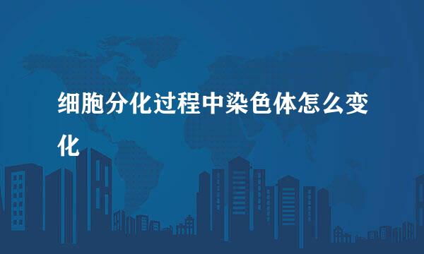 细胞分化过程中染色体怎么变化