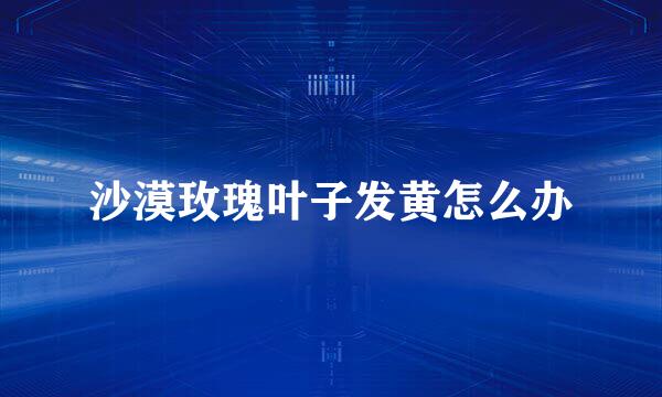 沙漠玫瑰叶子发黄怎么办