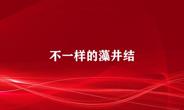 不一样的藻井结
