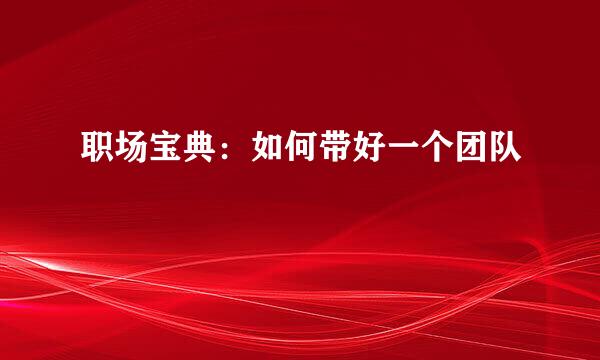 职场宝典：如何带好一个团队