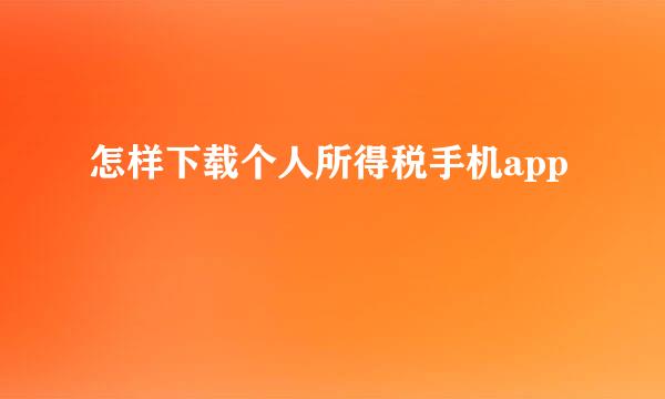 怎样下载个人所得税手机app